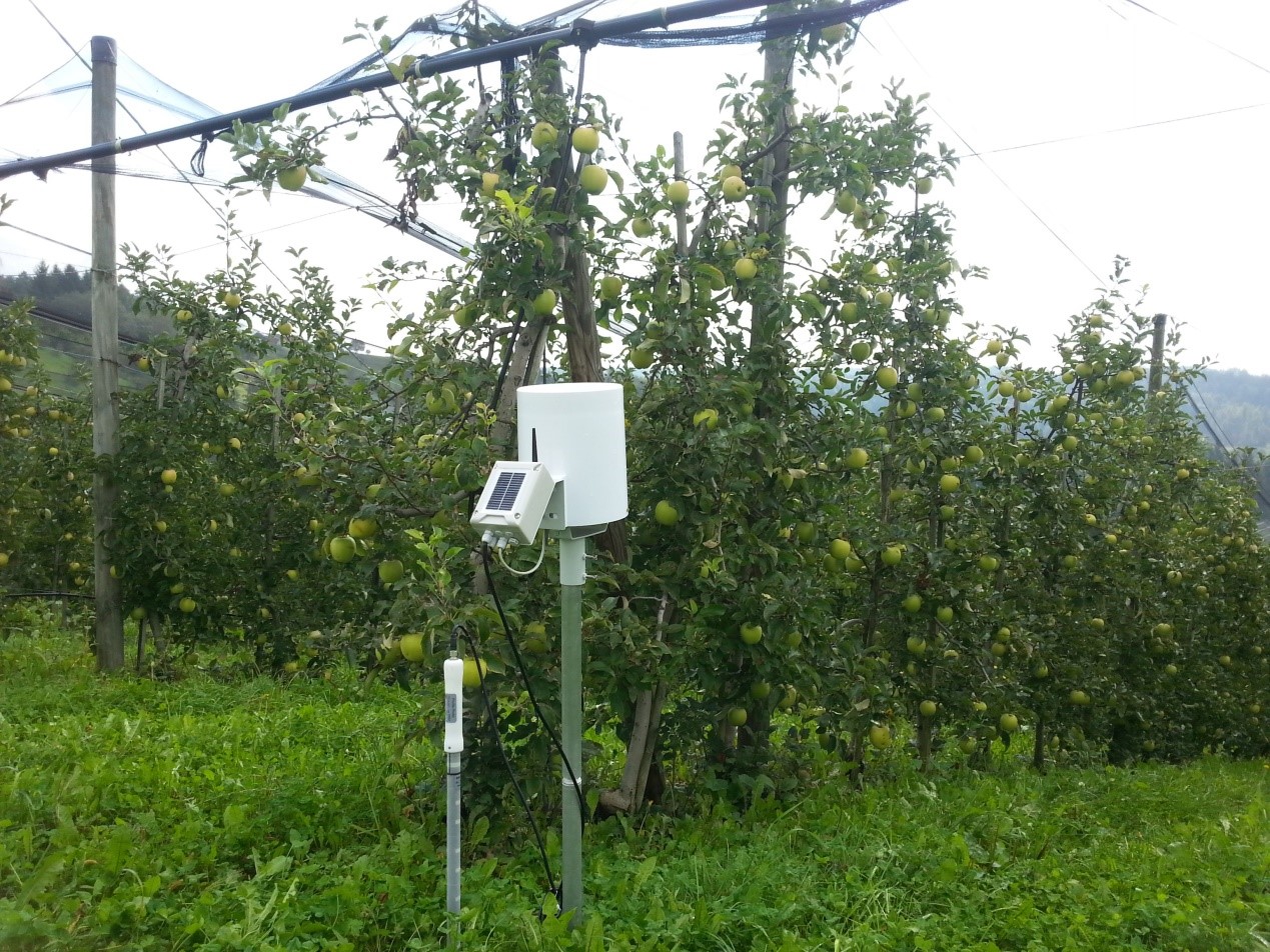 20200603153411086816.jpg 2345.jpg