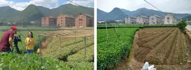 20200603153650018707.jpg 8.webp.jpg