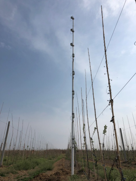 20200603160356012863.png 圖片2.png