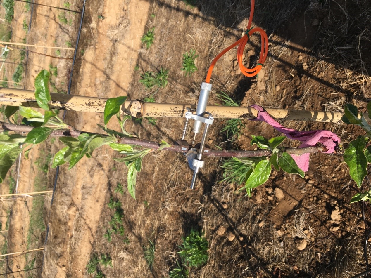 20200603160708046162.jpg 5.jpg