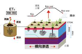 20200603161606079681.png 04.png