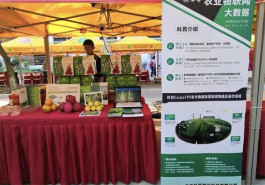 20200603172307037701.png 截屏2020-06-03 下午5.17.17.png