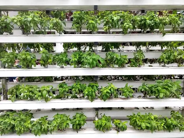 20240524151322005204.png 640.png