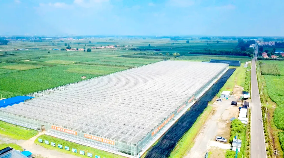 20240524152228069006.png 640 (1).png