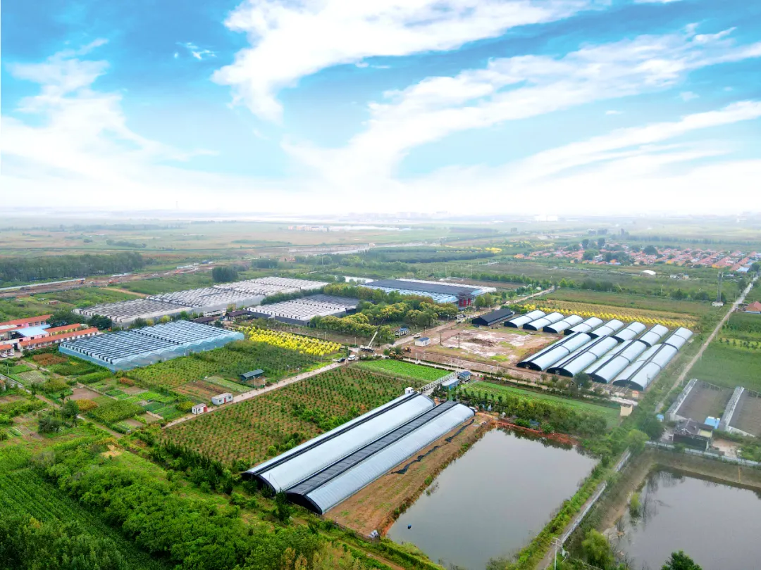 20240524152244098197.png 640.png