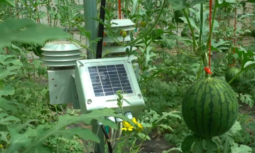 20240524160258093937.png 640 (4).png